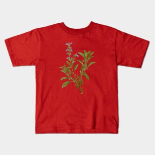 Vintage Garden Sage Botanical Illustration Kids T-Shirt